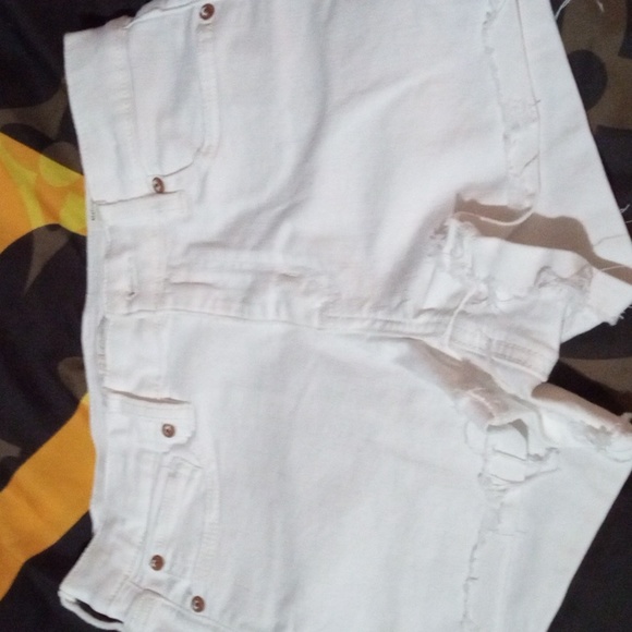 American eagle 🦅 - Picture 2 of 2